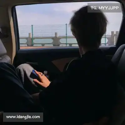 明贞梦